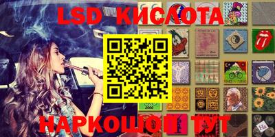 прущие грибы Чебоксары