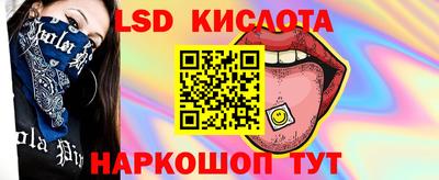 прущие грибы Чебоксары