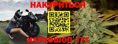 прущие грибы Чебоксары