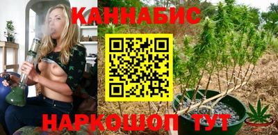 прущие грибы Чебоксары