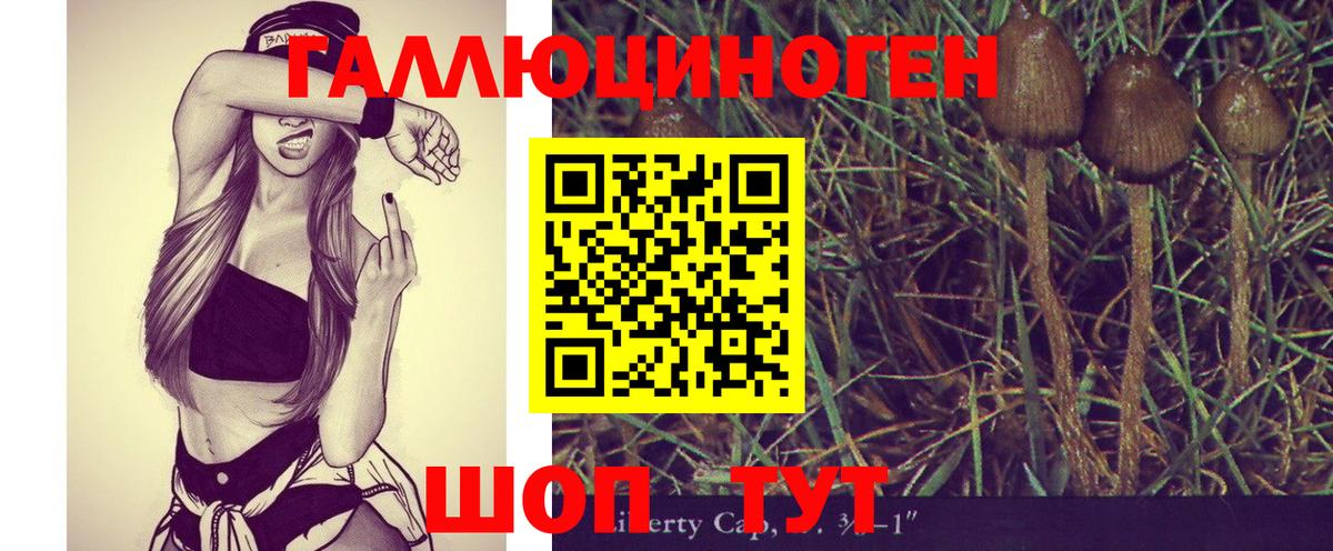 Галлюциногенные грибы Magic Shrooms  Галлюциногенные грибы Cubensis  Вход с VPN  Нижнекамск 